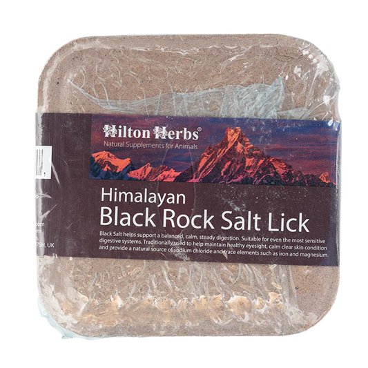 Pierre à sel noire – Minéraux pour digestion & peau saine - Hilton Herbs