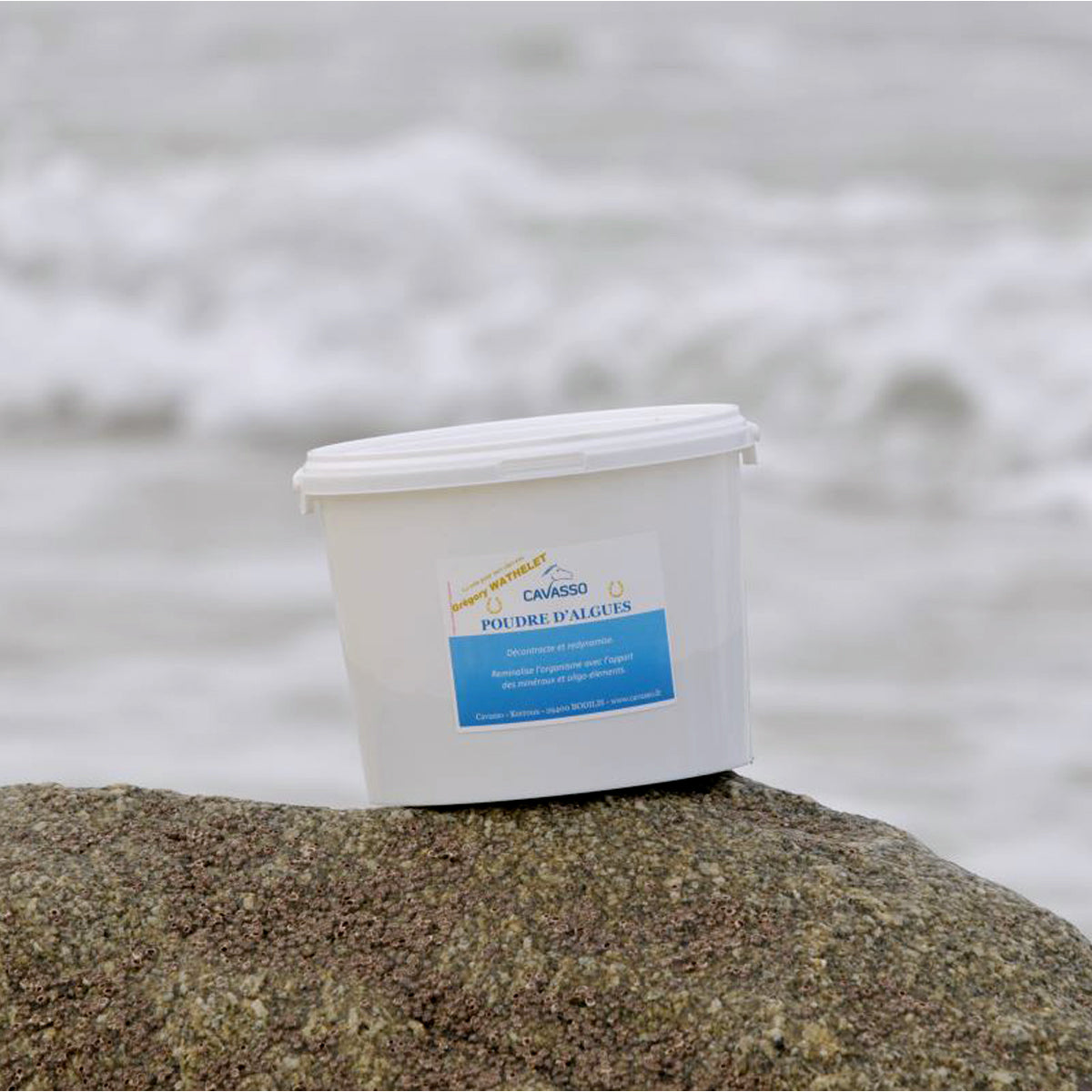 Poudre d’Algues – Soin Reminéralisant & Détox Cheval
