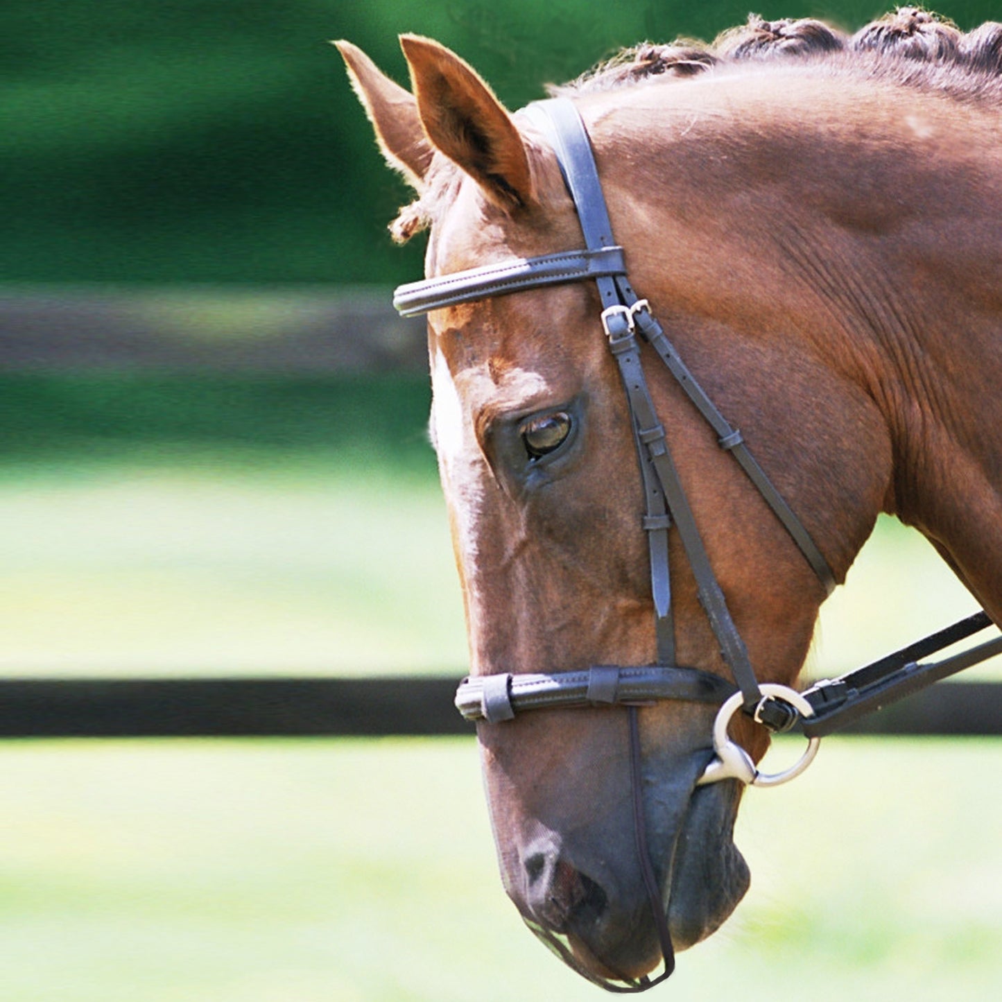 Protection de Nez Anti-Encensement - Soulagement et confort | Equilibrium