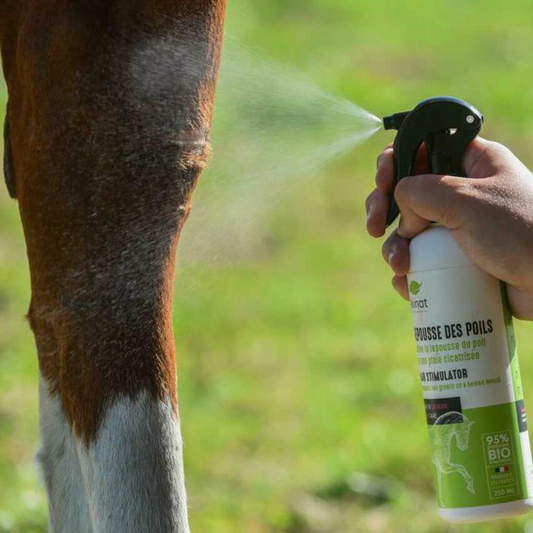 Spray repousse poils cheval bio – Active la repousse naturelle – Ekinat