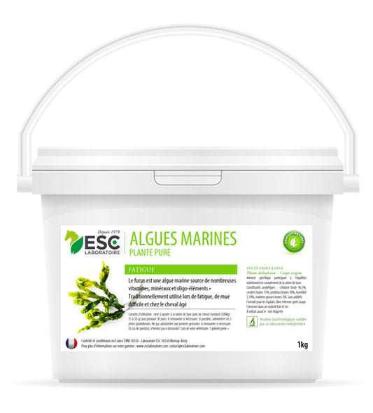 Algues Marines – Fatigue et vitalité cheval – Plante pure ESC