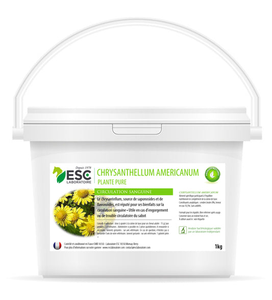 Chrysantellum cheval – Plante pure circulation & engorgement – ESC