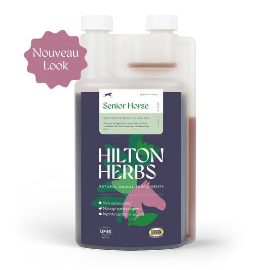 Senior Horse Liquide | Complément naturel pour chevaux seniors – Soutien digestion & mobilité - Hilton Herbs