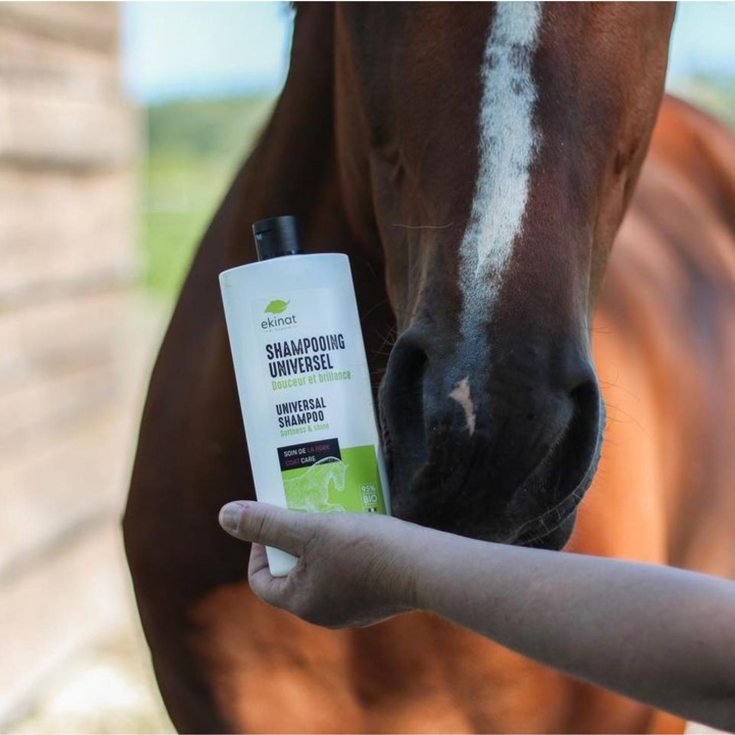 Shampoing universel cheval bio – Nettoyant doux au romarin & pin – Ekinat