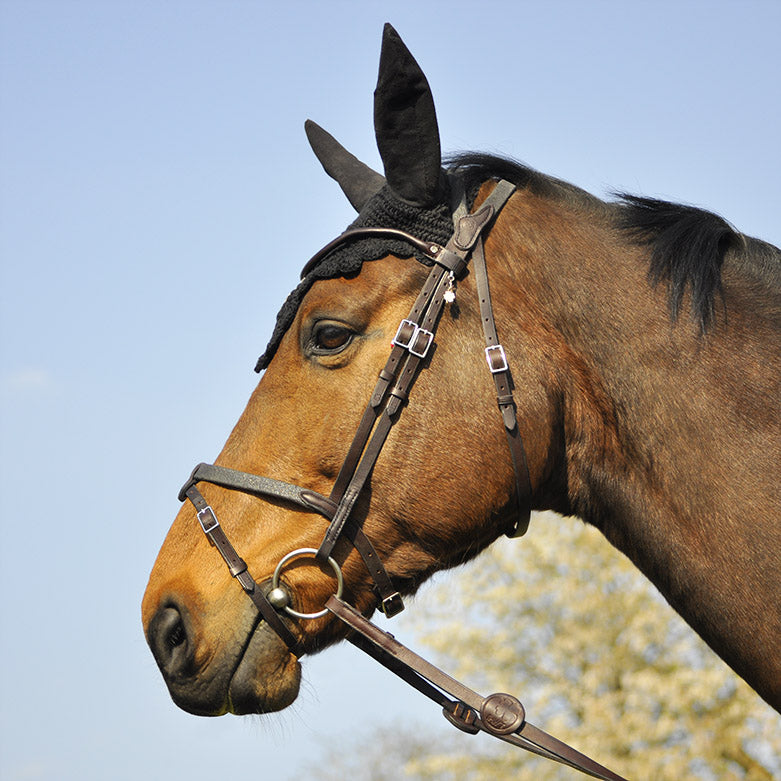 Bridon IHWT Evolution Soft T – Cuir classique – In horse we trust