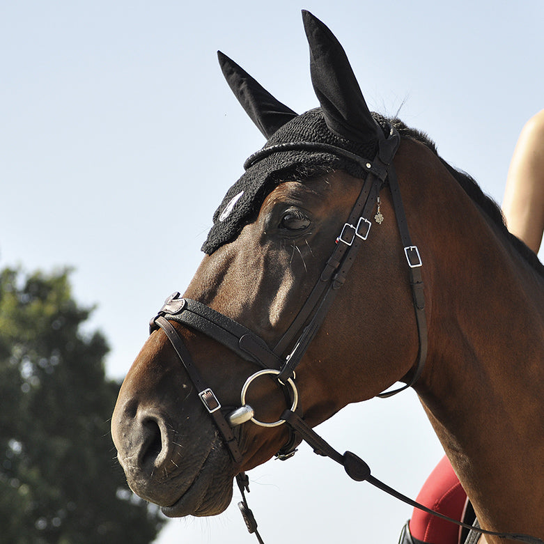 Bridon IHWT Evolution Soft T Contact Sans Pull-Back Frontal Disco – Confort et Liberté pour Chevaux