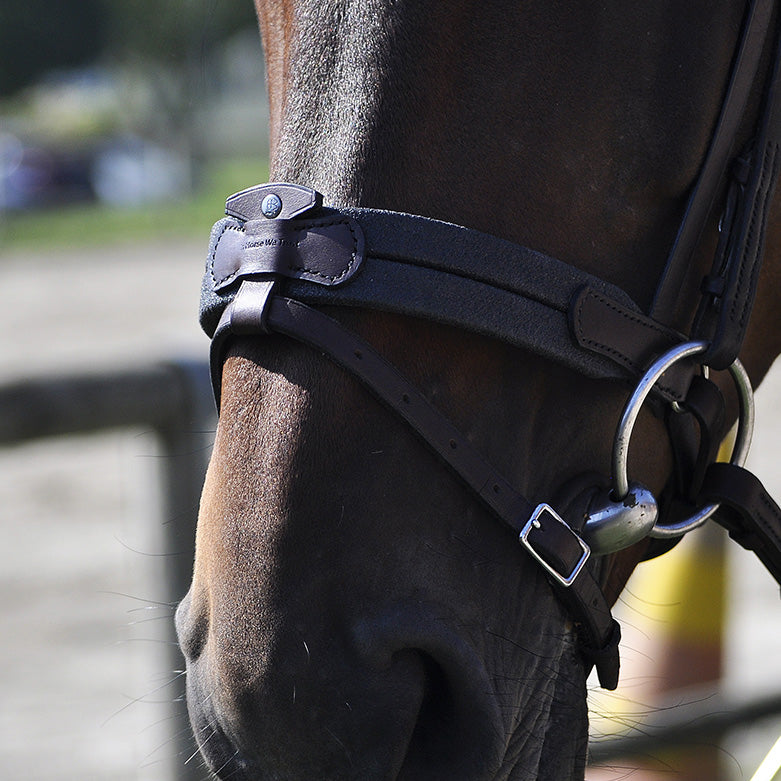 Bridon IHWT Evolution Soft T Contact Sans Pull-Back Frontal Disco – Confort et Liberté pour Chevaux