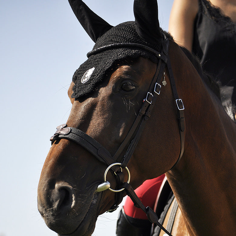 Bridon IHWT Evolution Soft T Contact Sans Pull-Back Frontal Disco – Confort et Liberté pour Chevaux