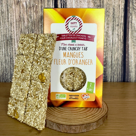 Tabs' Mangues Fleur d'Oranger – Pack de 2 – Happy Crackers – Tablettes Bio Gourmandes et Saines