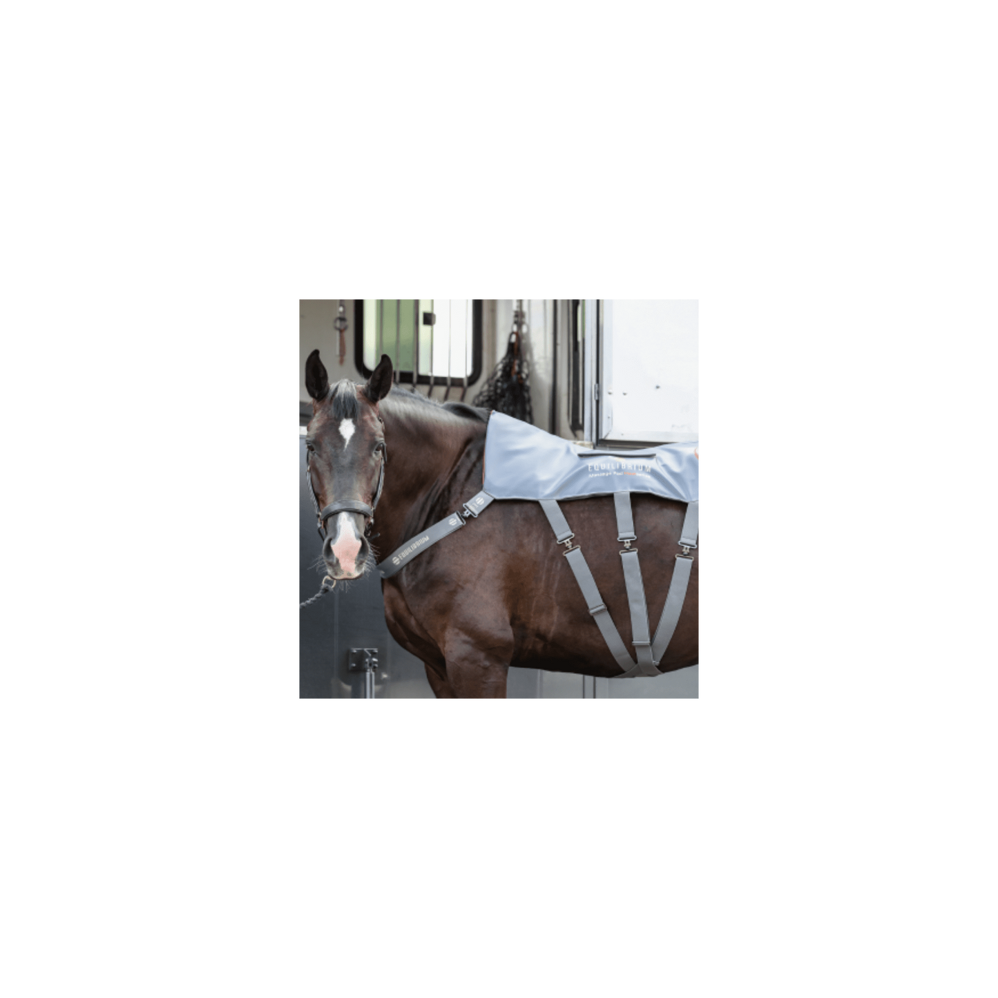 Tapis de Massage Chauffant Equilibrium – Relaxation dos cheval