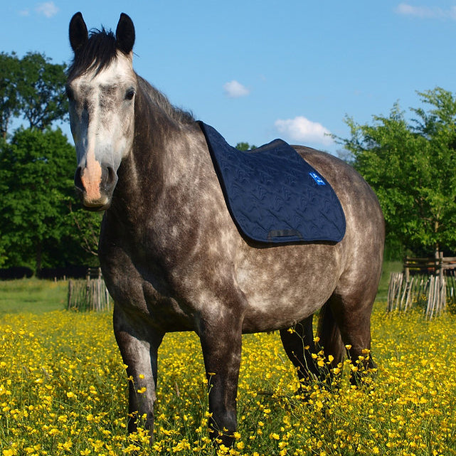 Tapis Syne Marine – Tissu Up-cyclé, Rembourrage Ouate & Maille 3D Respirante