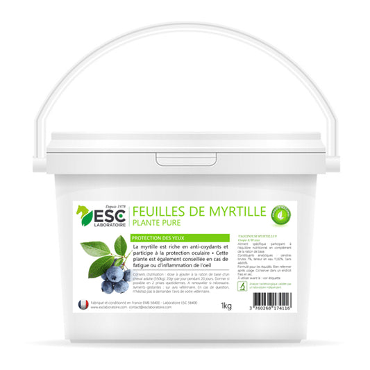 Feuilles de Myrtille pour chevaux – Protection naturelle des yeux et circulation oculaire - ESC