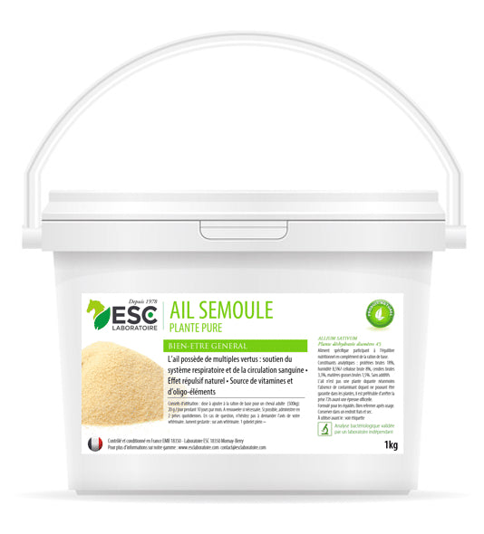 Ail Semoule – Bien-être général du cheval – Plante pure