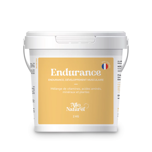 Endurance Cheval • Muscles & Résistance Physique | Allo Naturel