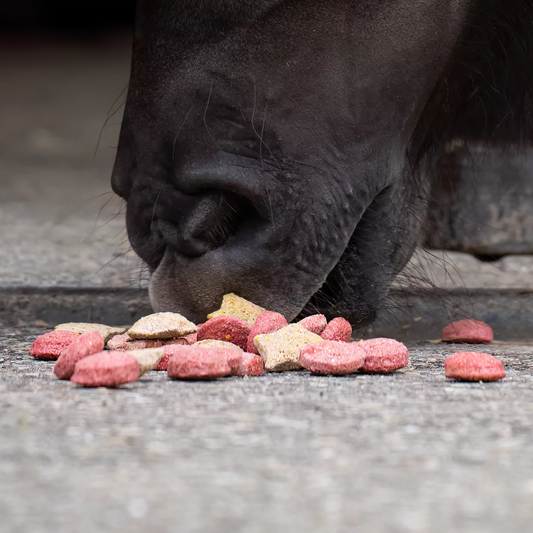 Le Bonbon - Friandises Naturelles Personnalisées Chevaux | Allo Naturel