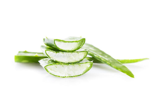 Gel d’Aloe Vera cheval – Soin hydratant et apaisant naturel pour la peau | ESC