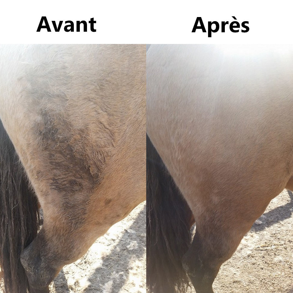 Détachant Robe et Crin EKIN – Élimine Taches & Blanchit Robes Grises