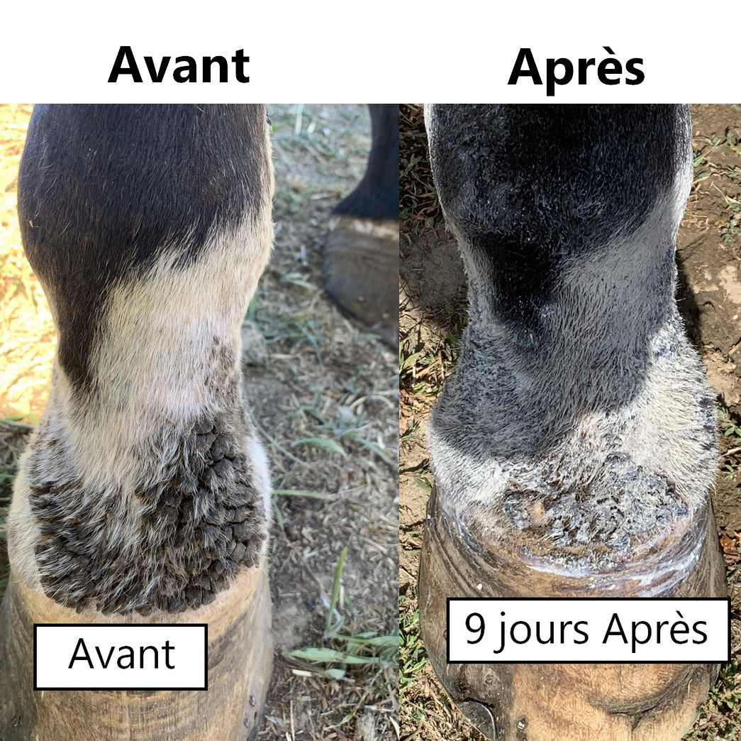 Onguent Ekin Anti-Crevasse & Gale de Boue