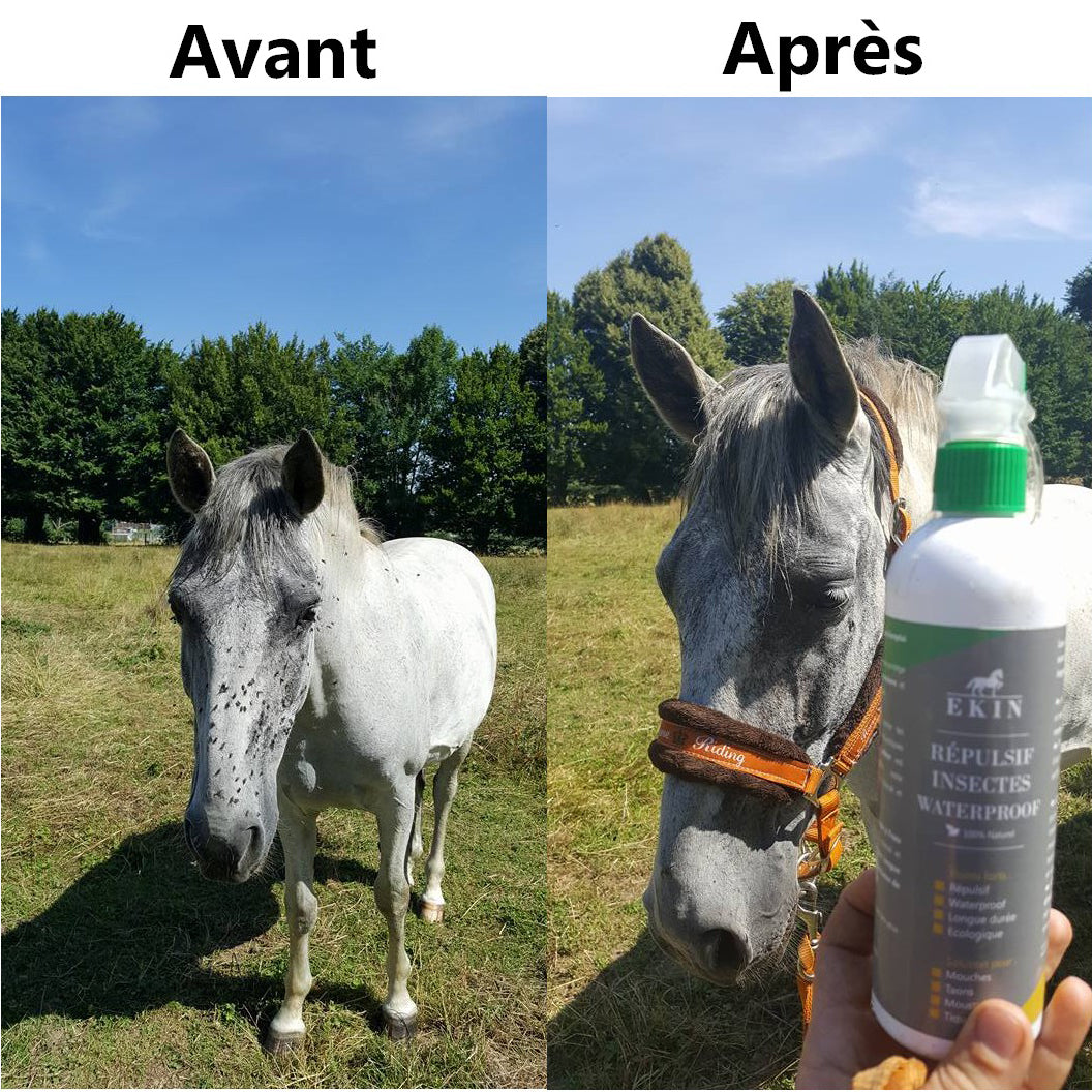 Spray d’Été Répulsif Insectes Waterproof Ekin – Protection Durable Contre Piqûres