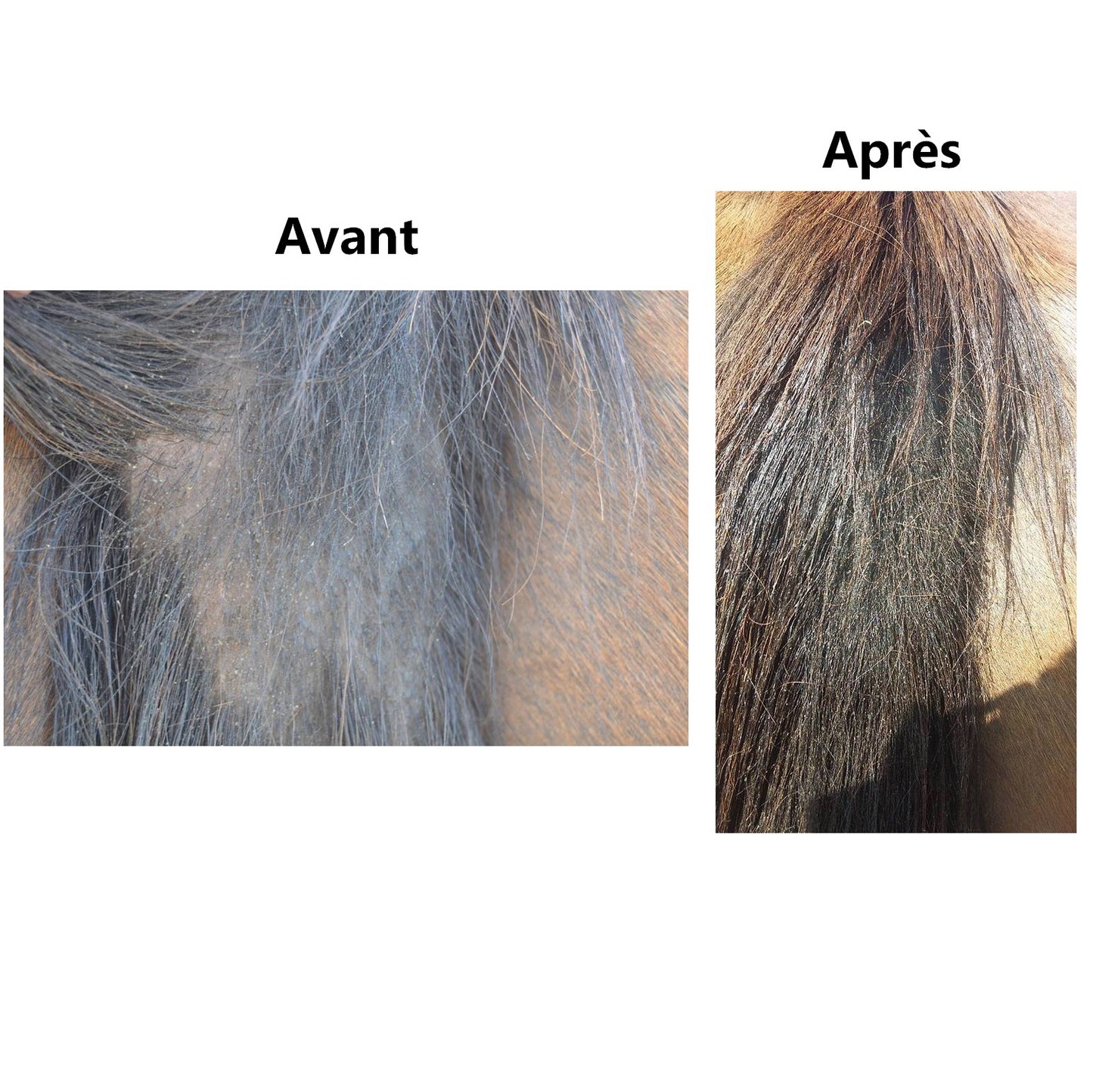 Repousse du Poil EKIN – Accélère la Repousse & Répare les Zones de Frottement