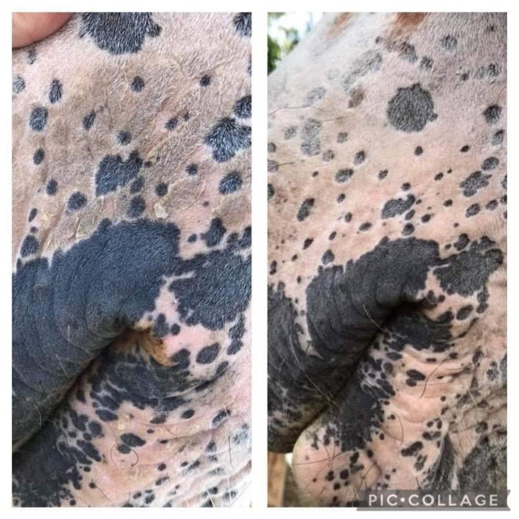 Protection Solaire EKIN – Protection Waterproof Anti-Coup de Soleil