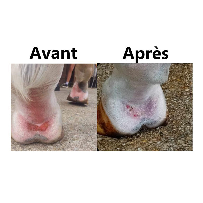 Protection Solaire EKIN – Protection Waterproof Anti-Coup de Soleil