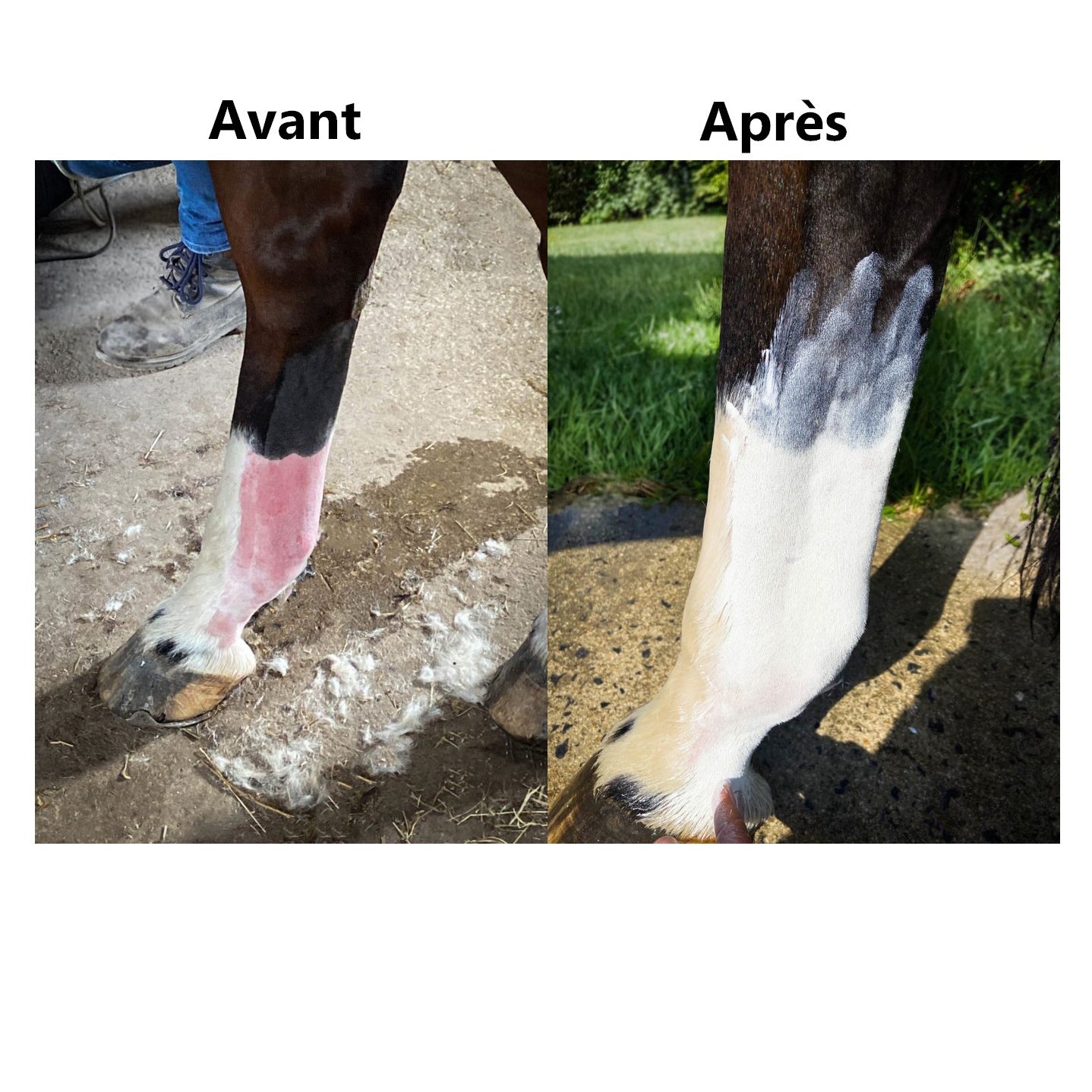 Protection Solaire EKIN – Protection Waterproof Anti-Coup de Soleil