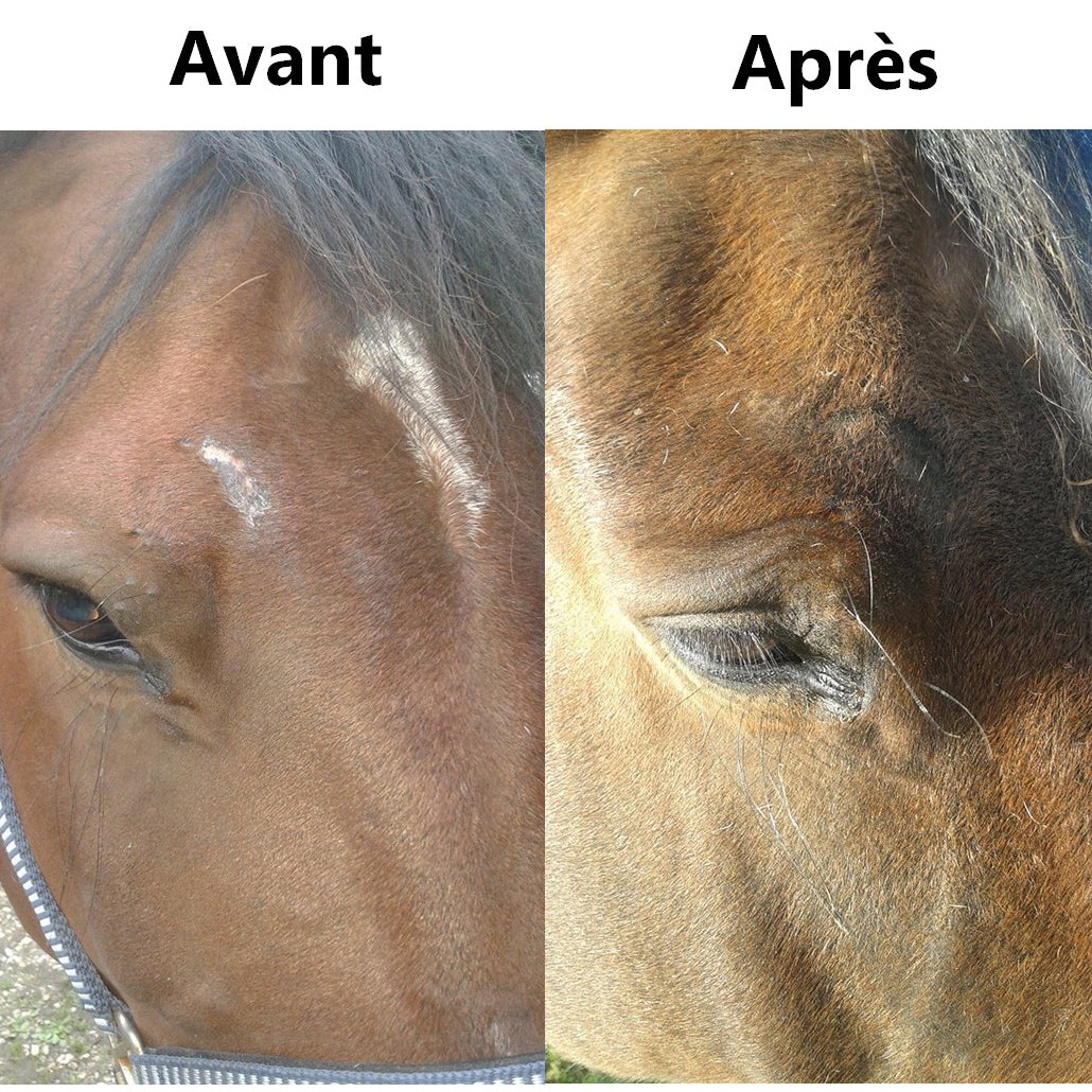 Repousse du Poil EKIN – Accélère la Repousse & Répare les Zones de Frottement