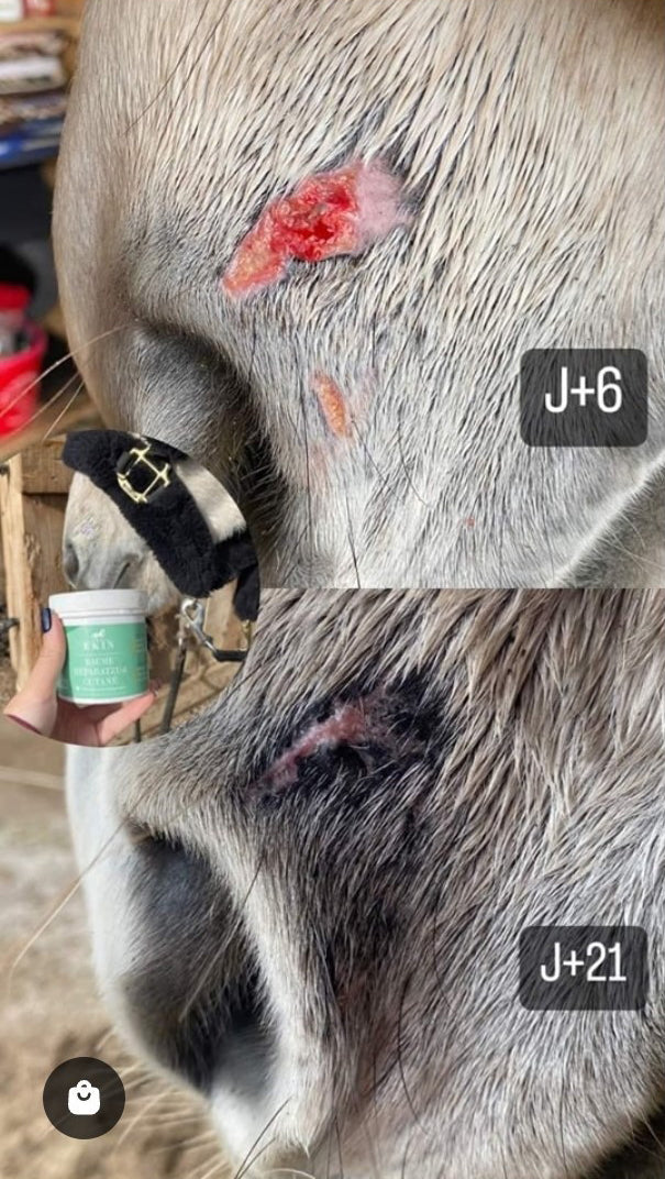 Baume Réparateur Cutané EKIN – Assainit & Répare la Peau du Cheval