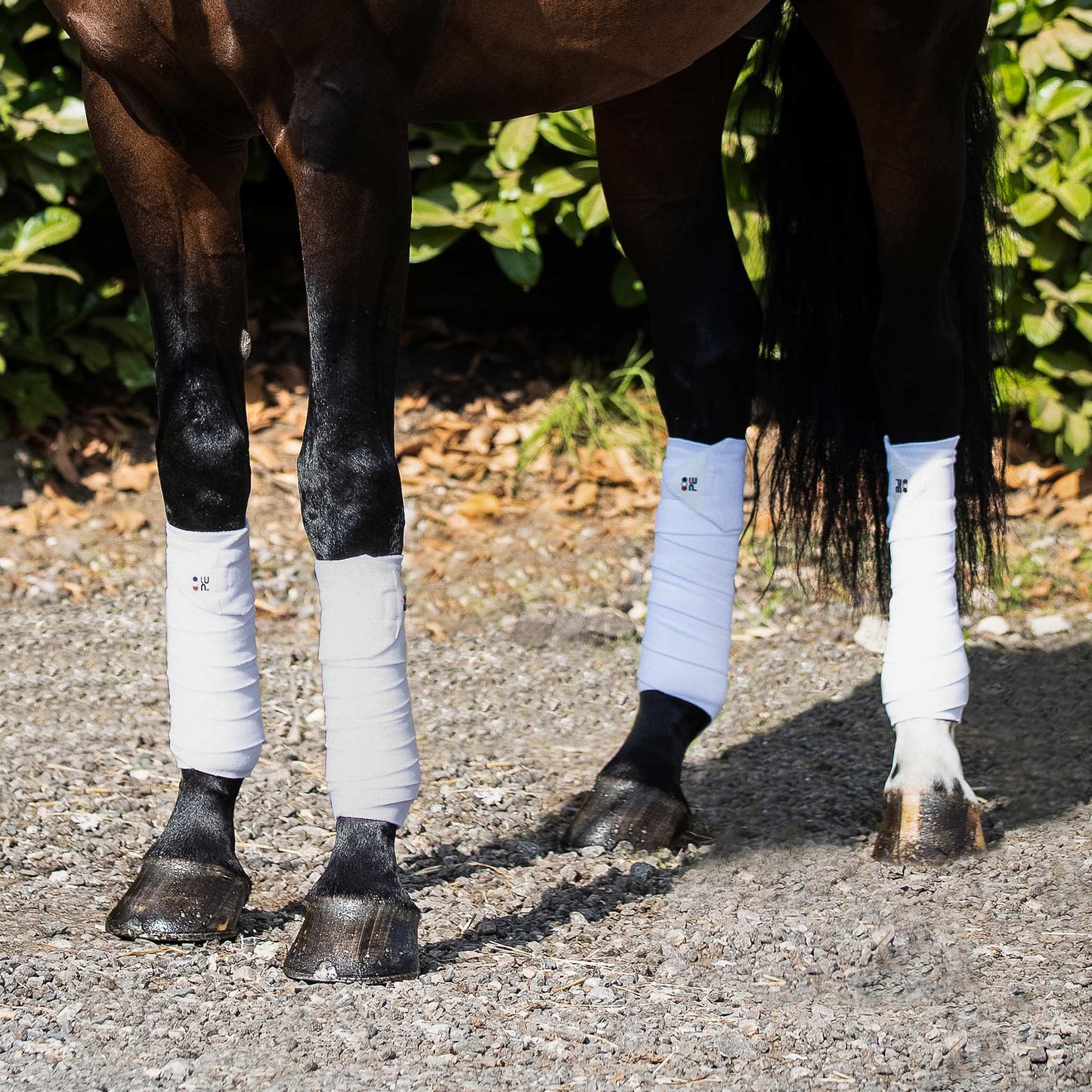 Bandes de polo en polaire