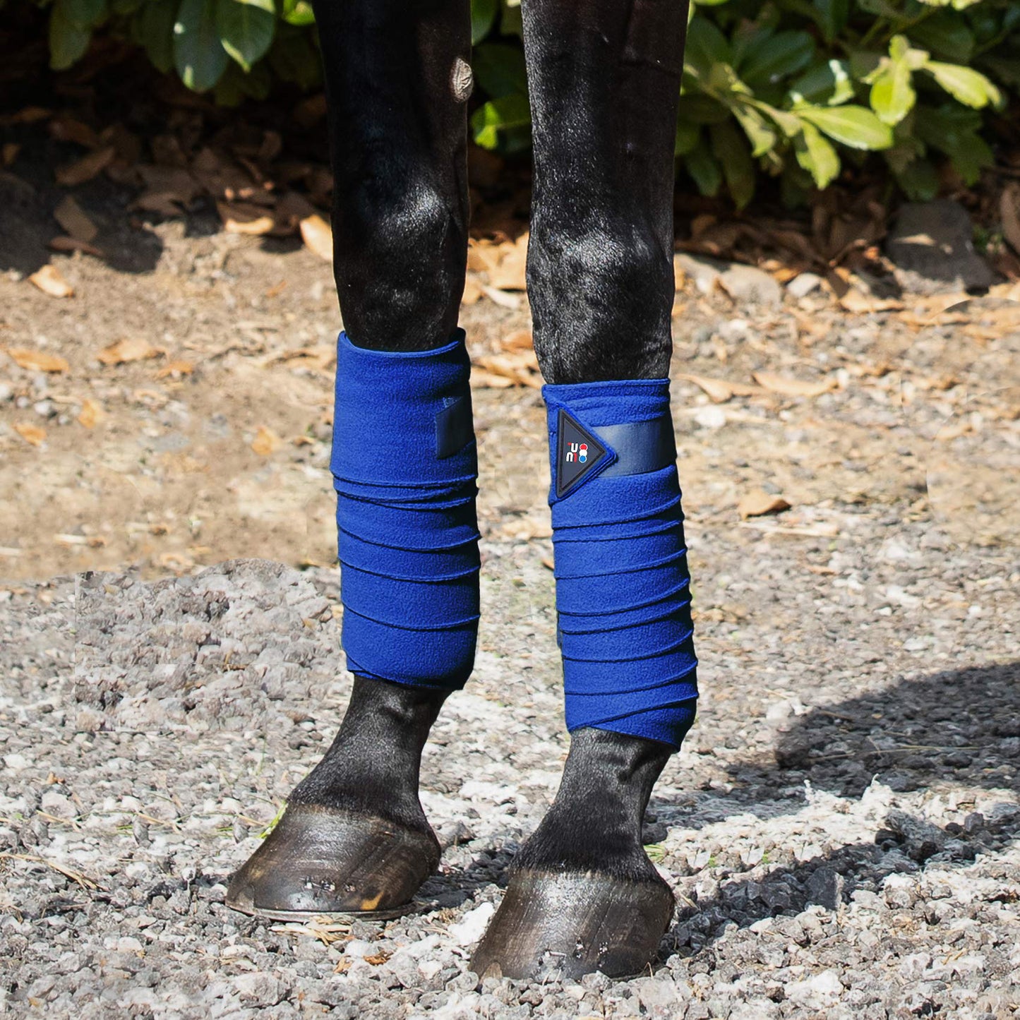 Bandes de polo en polaire
