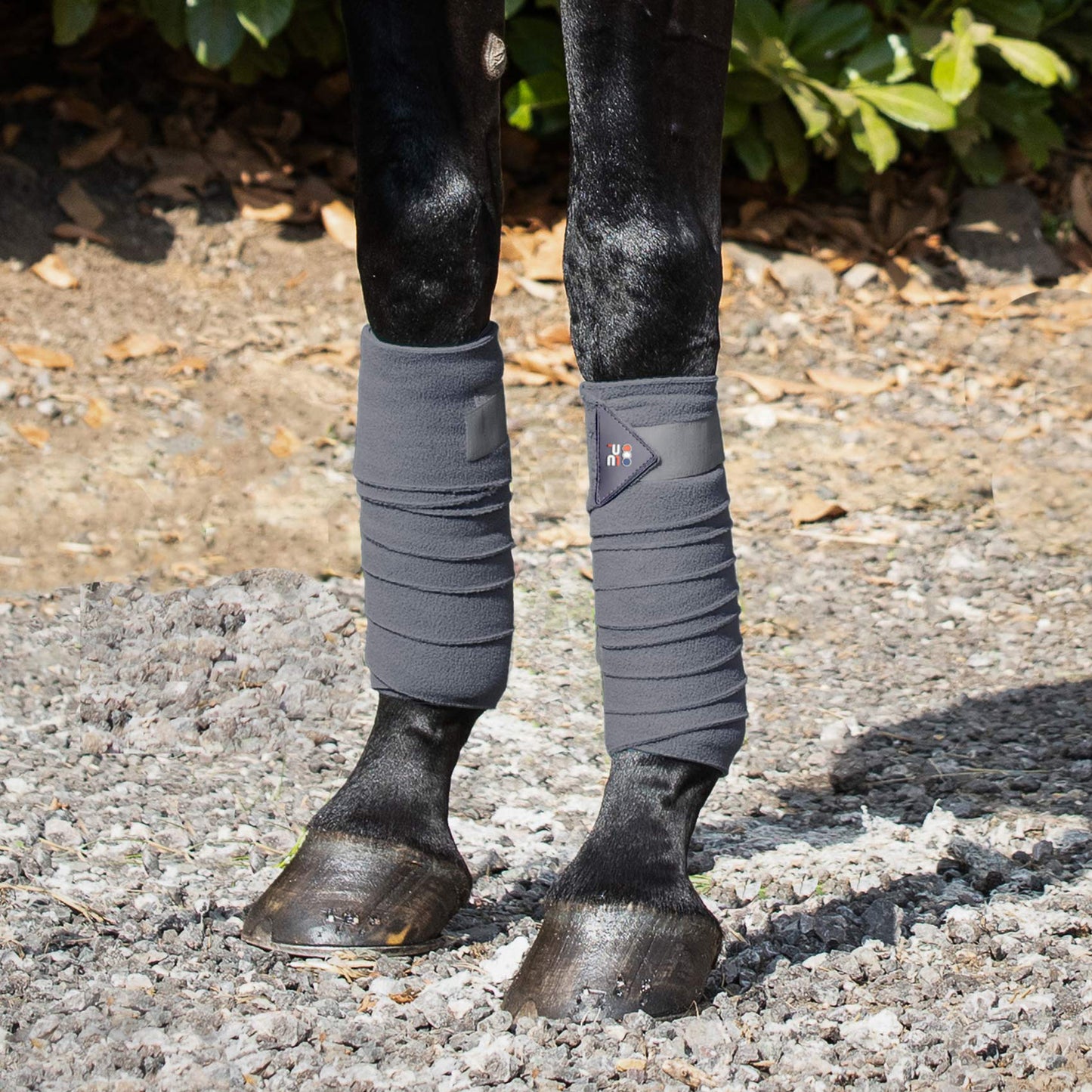 Bandes de polo en polaire