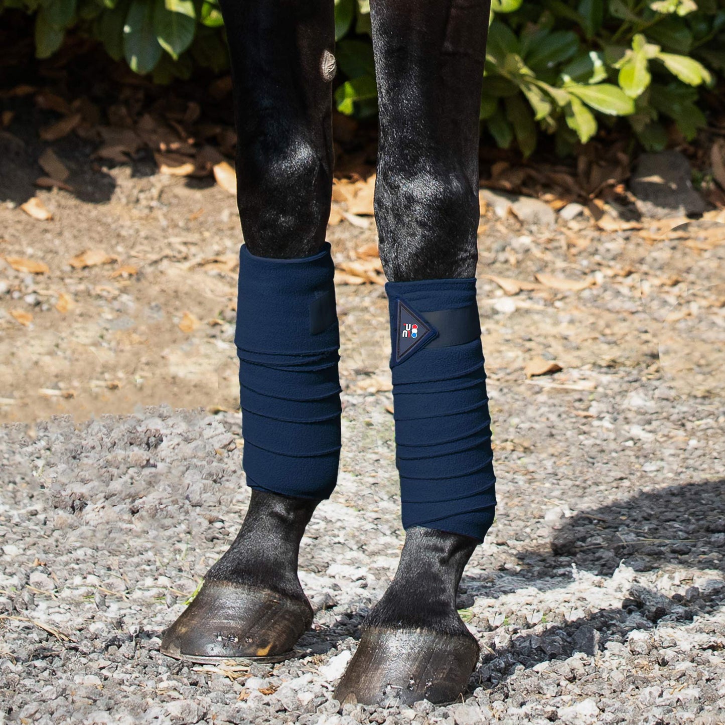 Bandes de polo en polaire