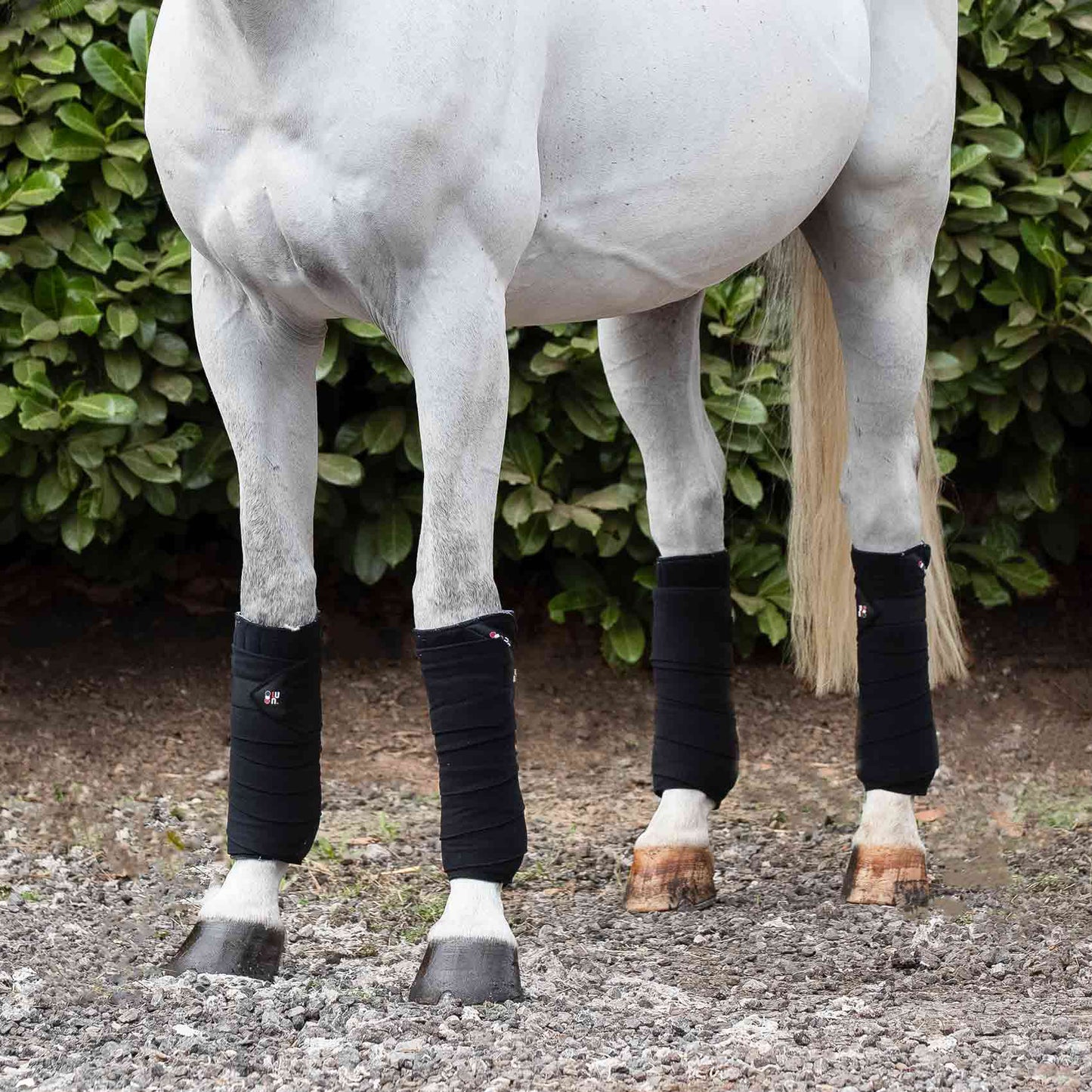 Bandes de polo en polaire