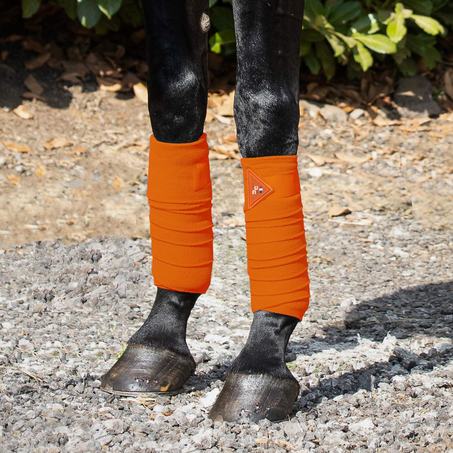 Bandes de polo en polaire
