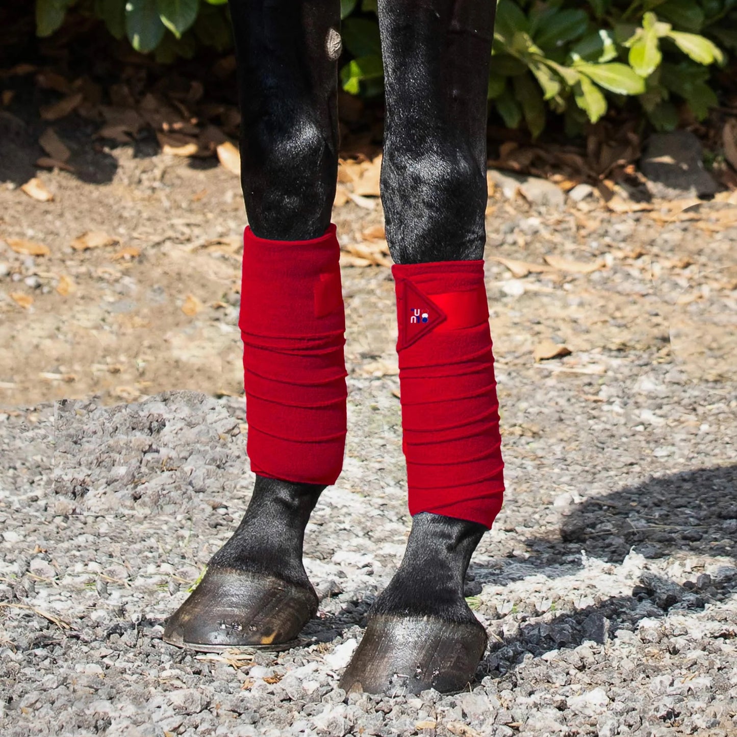 Bandes de polo en polaire