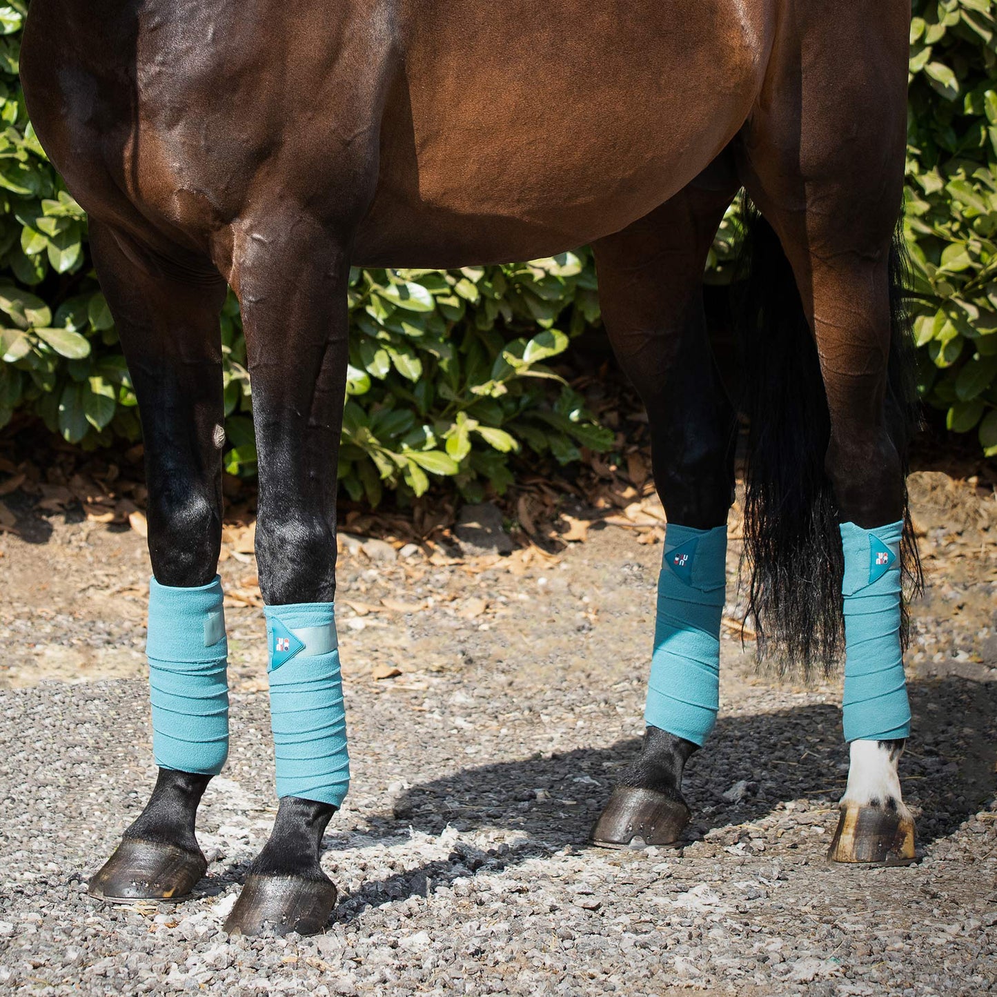 Bandes de polo en polaire