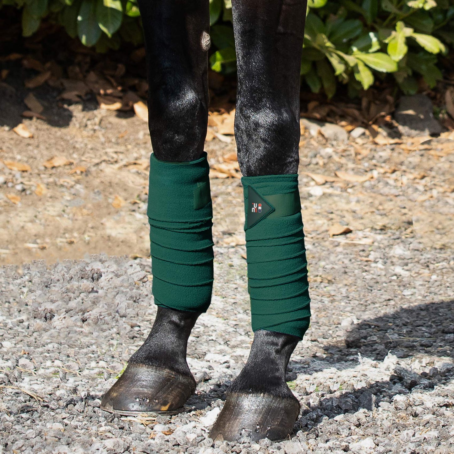 Bandes de polo en polaire