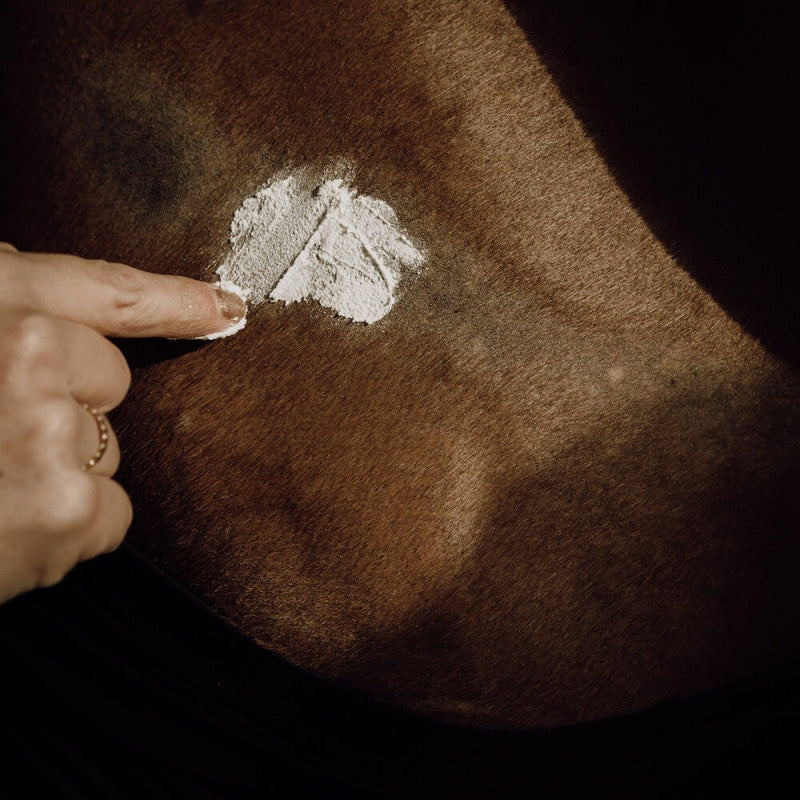 Baume Hydratant Cheval - Protection UV & Soin Peau | Nellumbo
