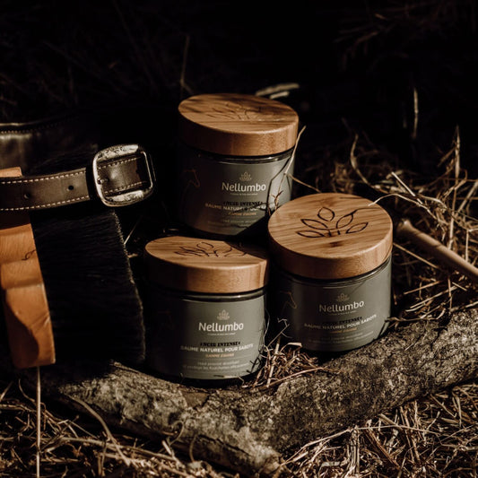 Baume Sabots Noir Intense Cheval - Soin Purifiant Naturel | Nellumbo