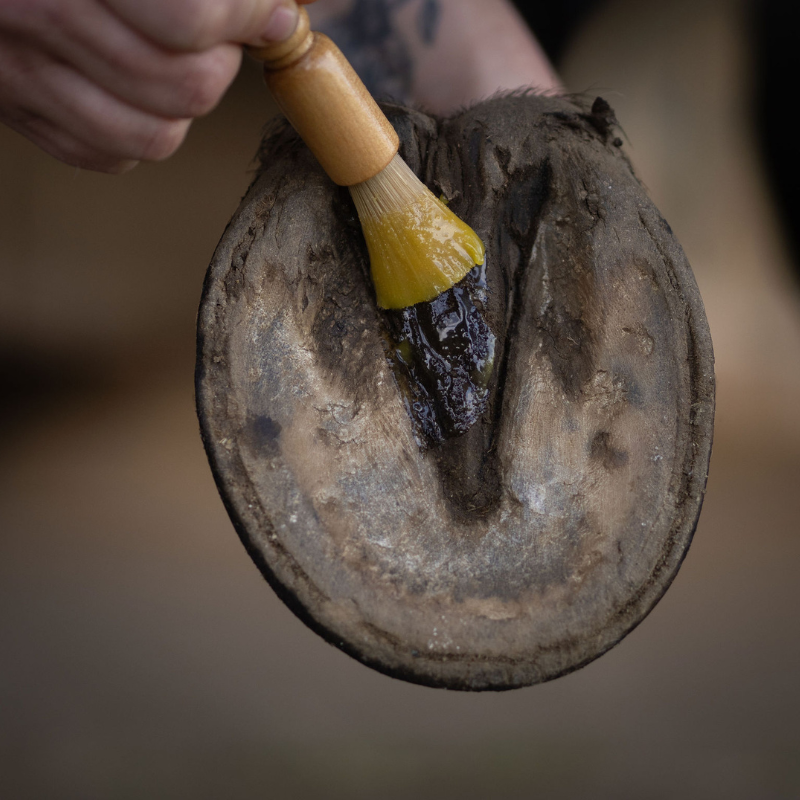 Baume Soin Sabots Cheval - Hydratant & Antifongique | Nellumbo