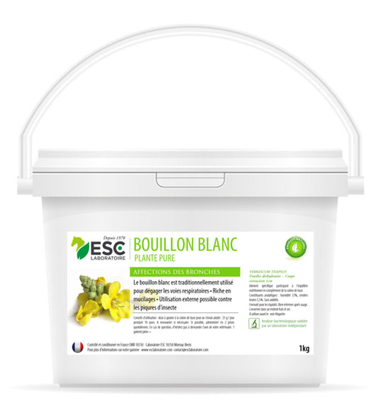 Bouillon Blanc – Plante Pure pour Irritation et Encombrement des Bronches Cheval ESC