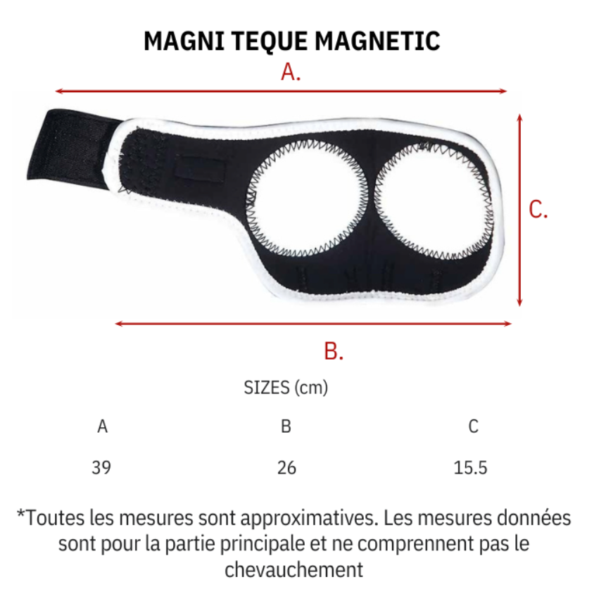 Protège-boulets Magnétiques Premier Equine Magni-Teque – Soutien et Récupération Équine