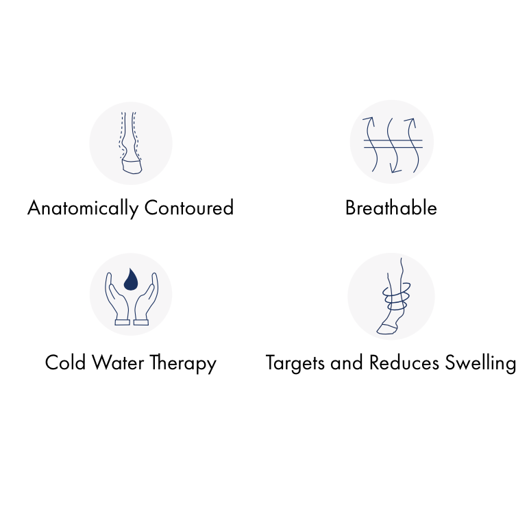 Guêtres Cold Water Compression Premier Equine – Refroidissement et Récupération Équine