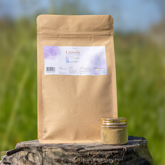 Cassis cheval – Soutien articulaire naturel et anti-inflammatoire | O’BELTAN