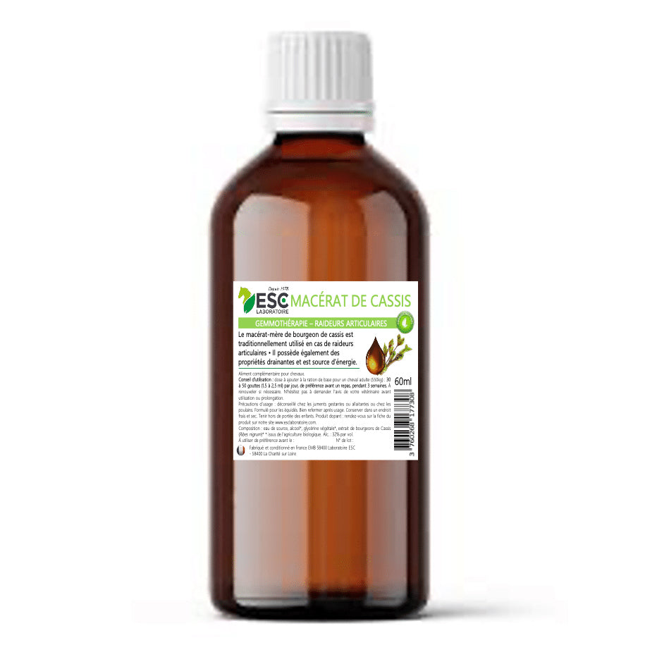 Macérat de Bourgeon de Cassis – Gemmothérapie Cheval pour Articulations et Fatigue ESC