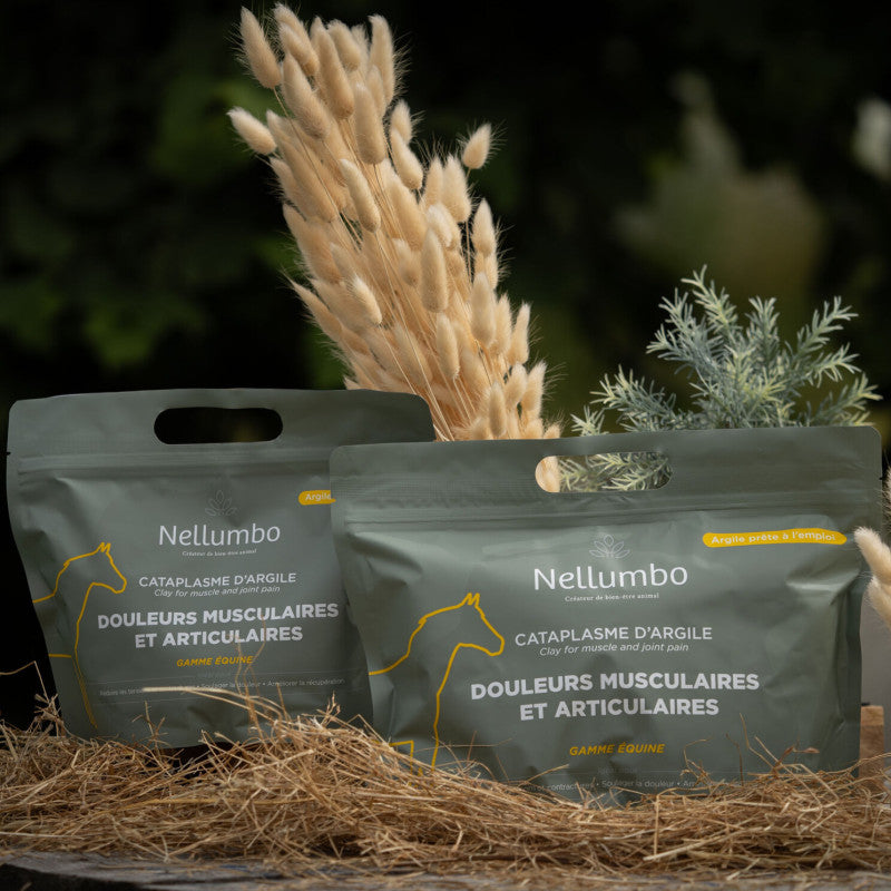 Cataplasme d'Argile Verte Cheval – Soulagement Douleurs Musculaires & Arthrose – Nellumbo
