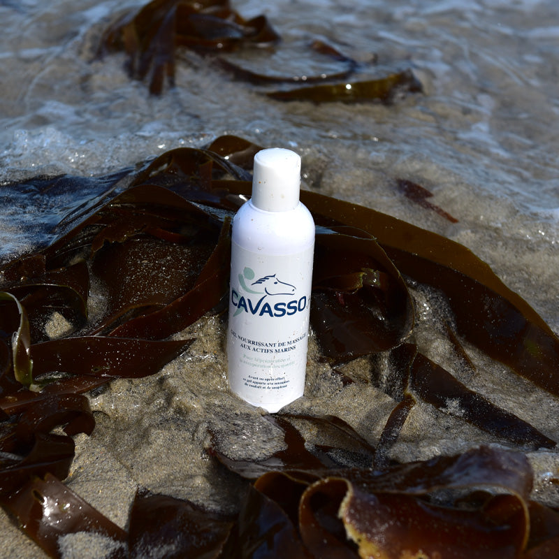 Gel nourrissant de massage aux actifs marins - Cavasso