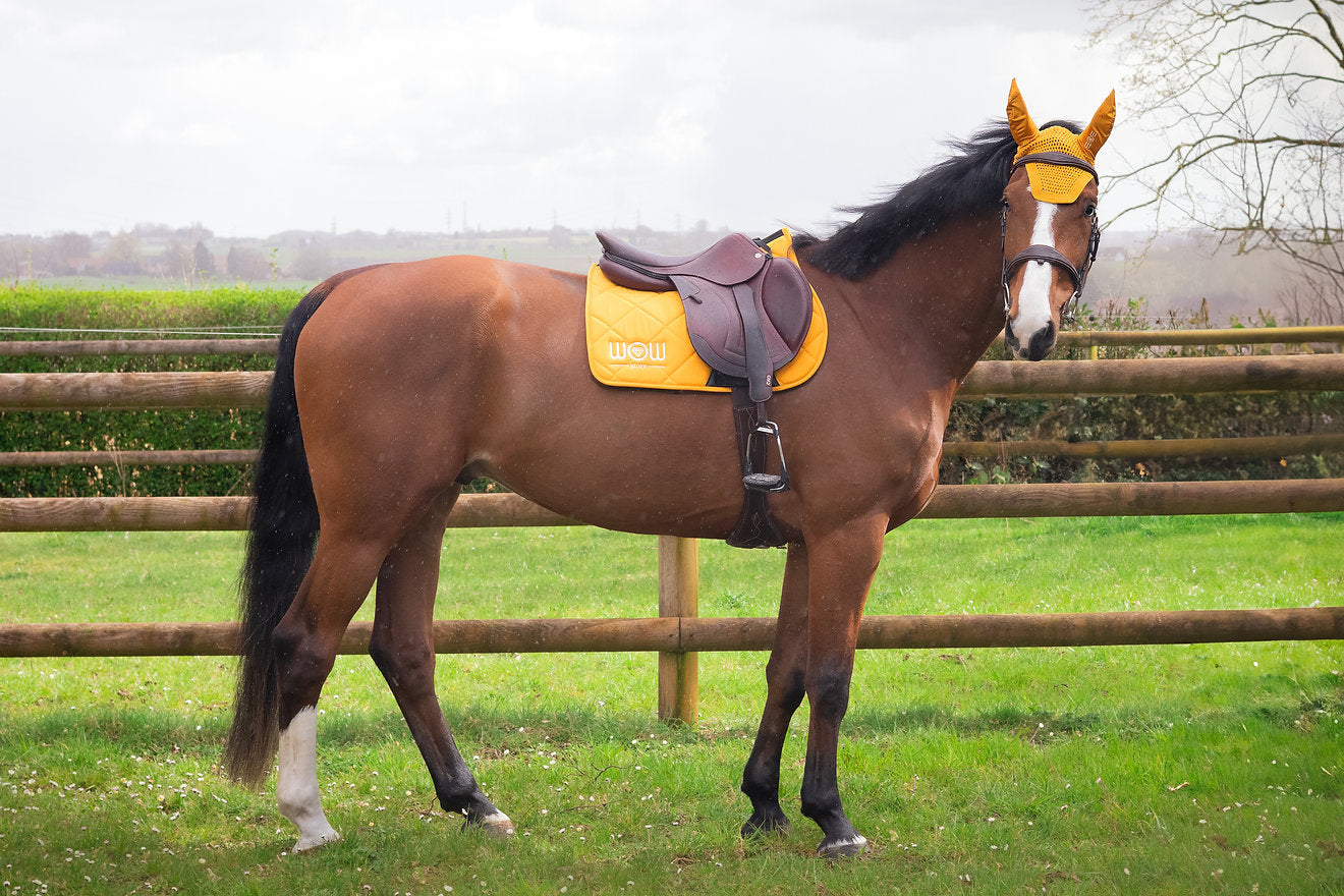 Tapis mixte HORSE CARE – Wow Store Blazing Yellow (jaune intense)