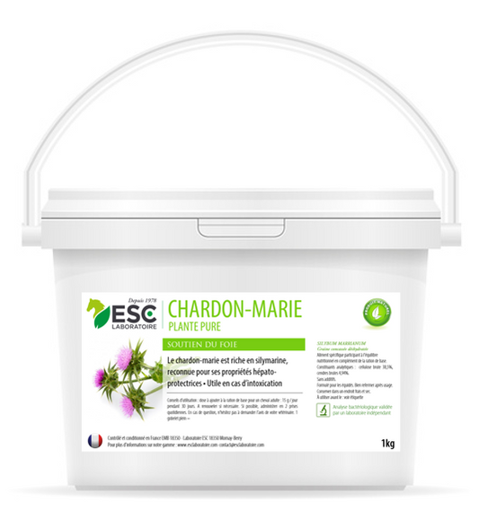 Chardon-Marie cheval – Détox naturelle et soutien hépatique après convalescence – ESC Laboratoire